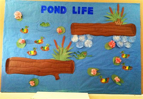 Displays in The Ponds.